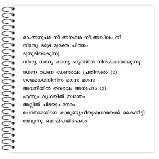 Picture of the product