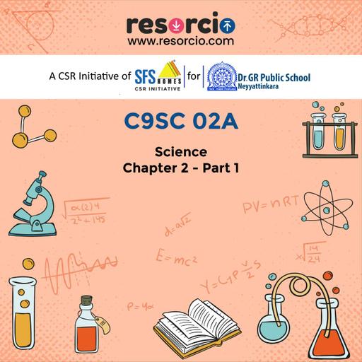 Picture of the product