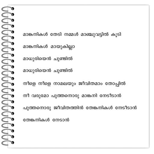 Picture of the product