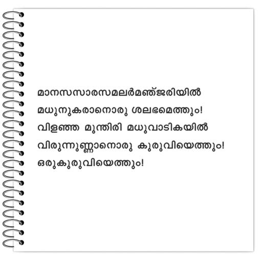 Picture of the product