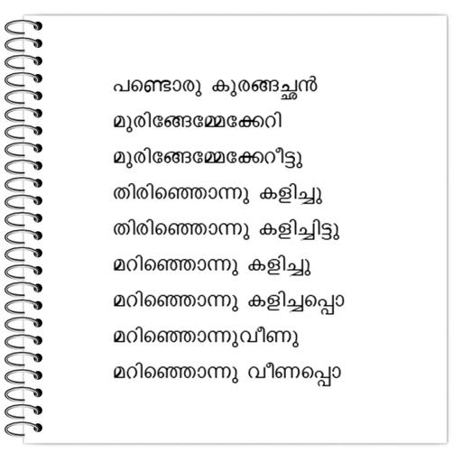 Picture of the product