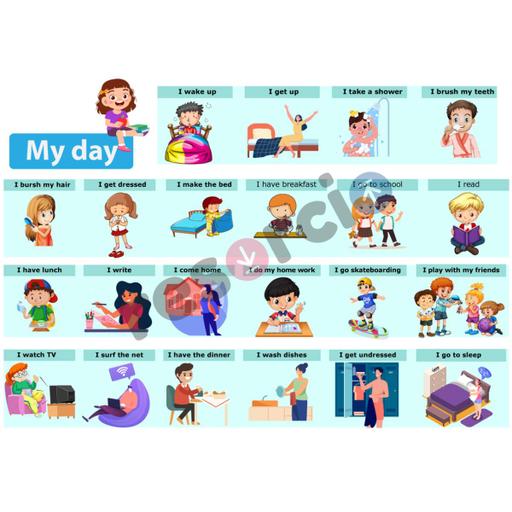 Picture of the product