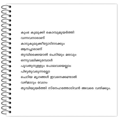 Picture of the product