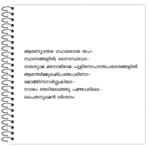 Picture of the product