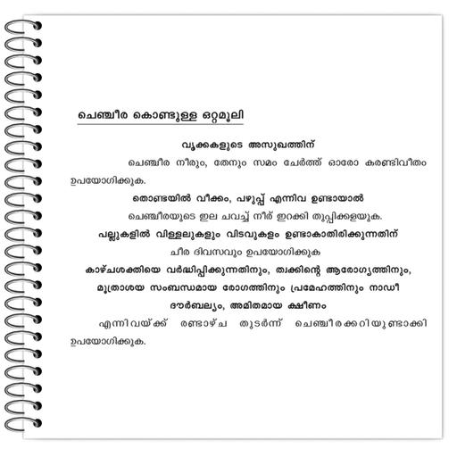 Picture of the product