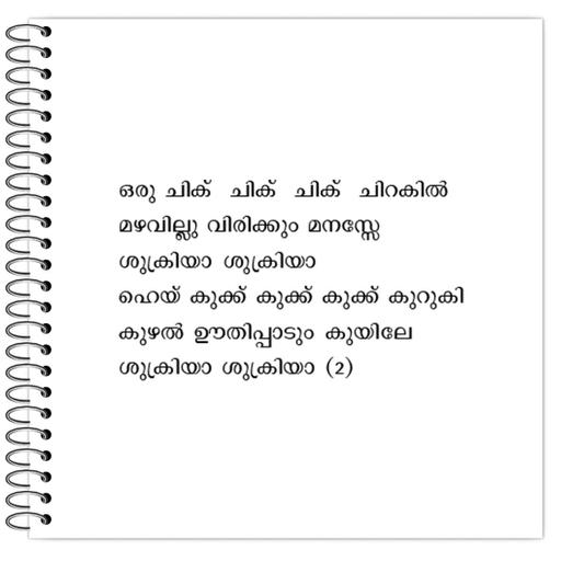 Picture of the product