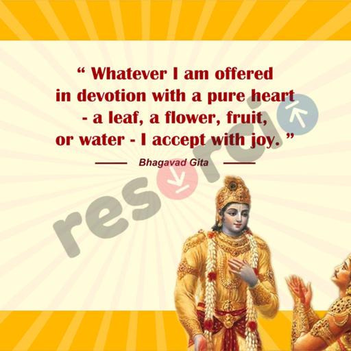 Picture of the product