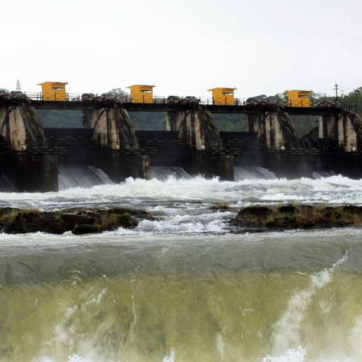 Picture of the product