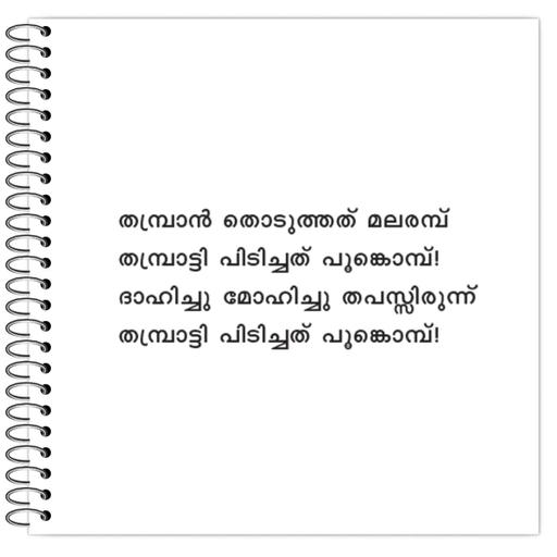 Picture of the product