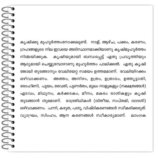 Picture of the product