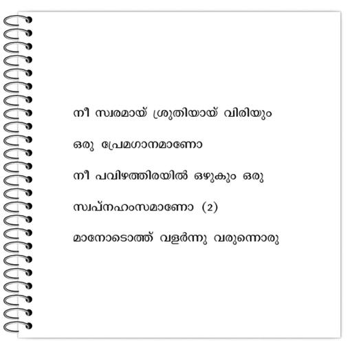 Picture of the product