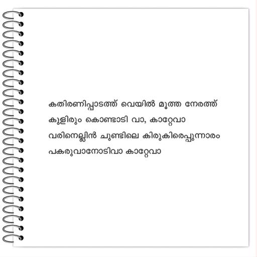 Picture of the product