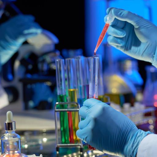 Picture of the product