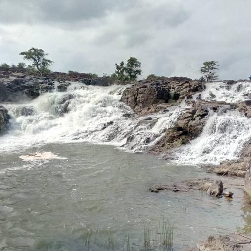 Picture of the product