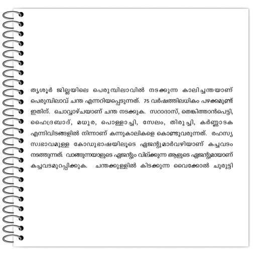 Picture of the product