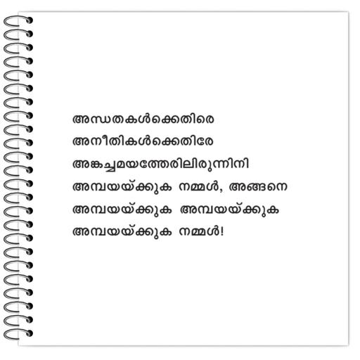 Picture of the product