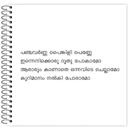 Picture of the product