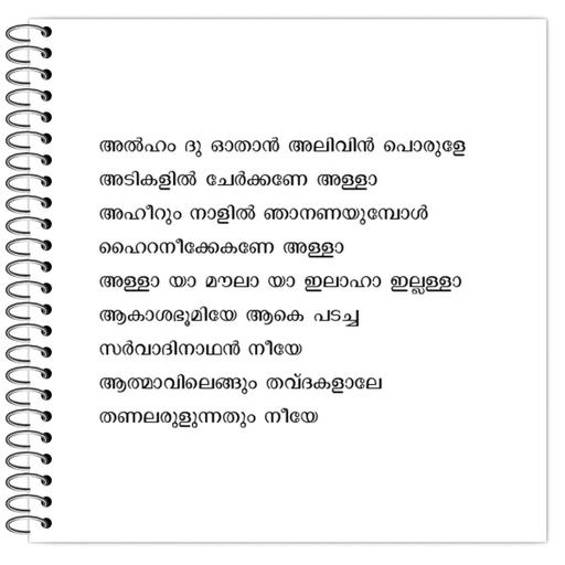 Picture of the product