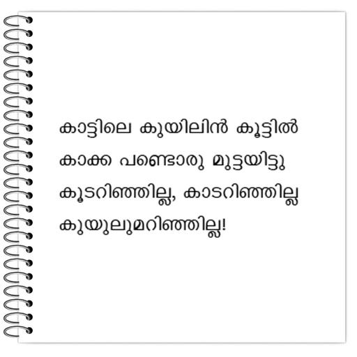 Picture of the product