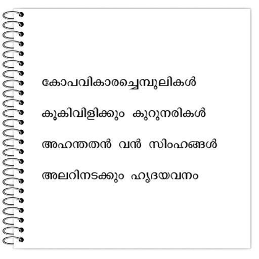 Picture of the product