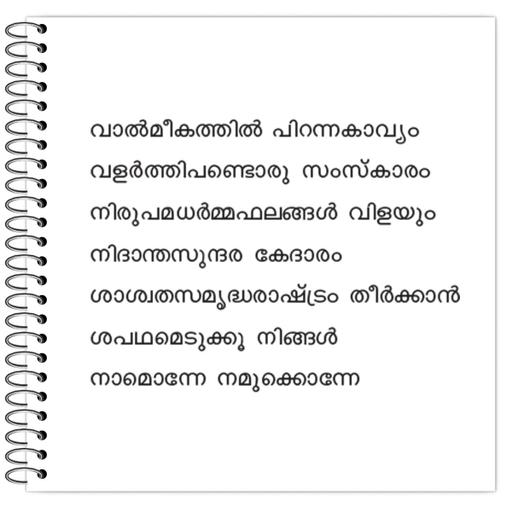 Picture of the product