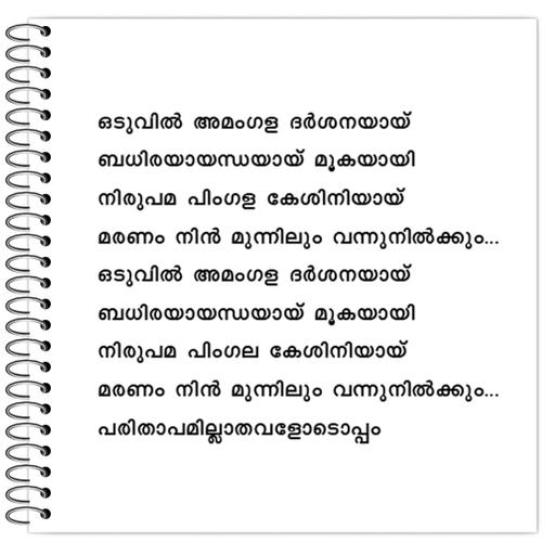 Picture of the product