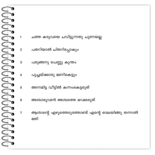 Picture of the product