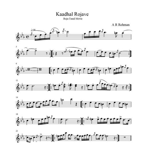 Picture of the product