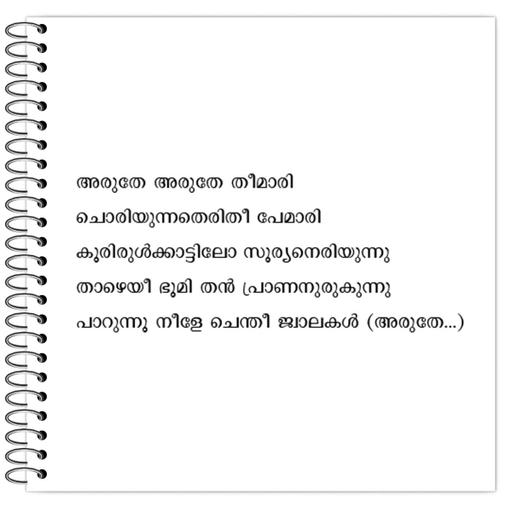 Picture of the product