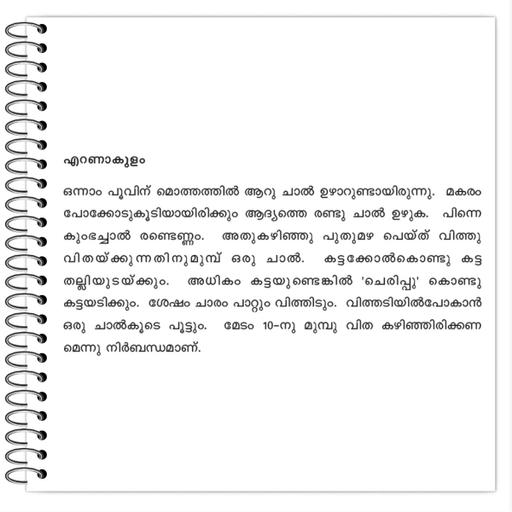 Picture of the product