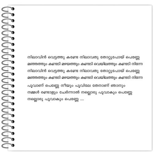 Picture of the product