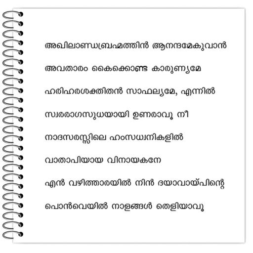 Picture of the product