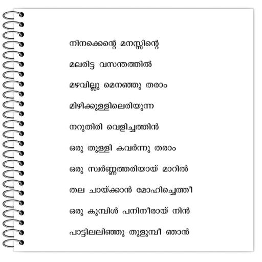 Picture of the product