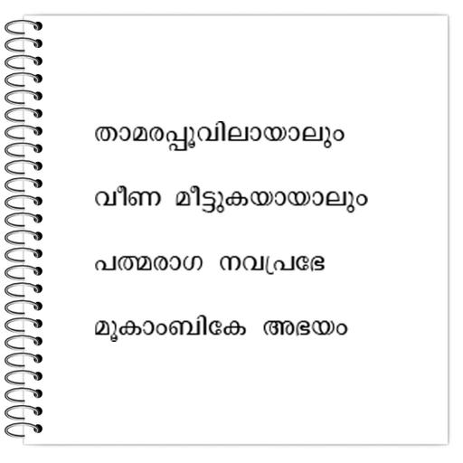 Picture of the product