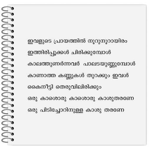 Picture of the product