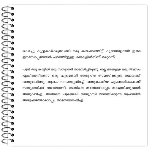 Picture of the product