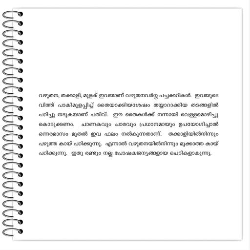 Picture of the product