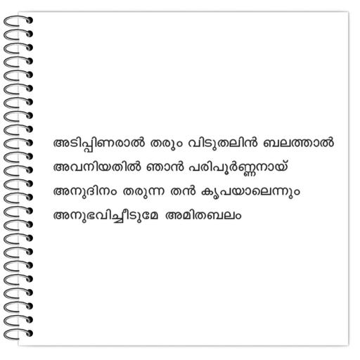 Picture of the product