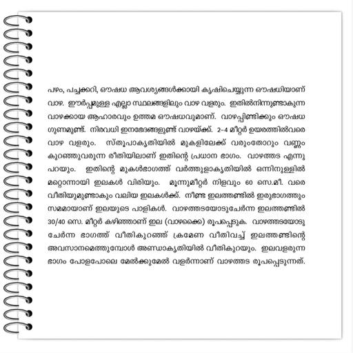 Picture of the product