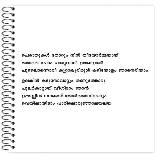 Picture of the product