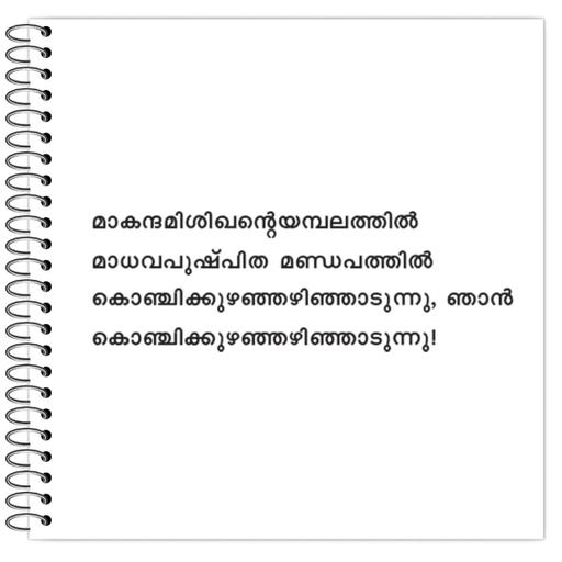 Picture of the product