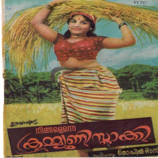 Picture of the product