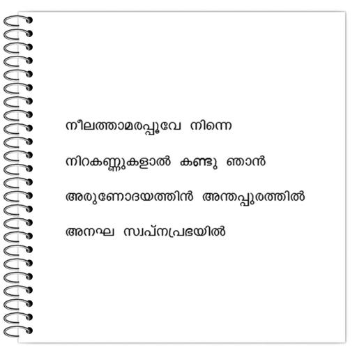 Picture of the product