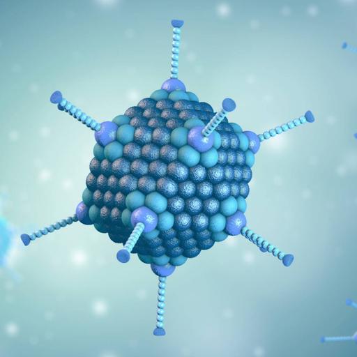 Picture of the product