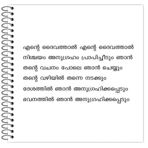 Picture of the product