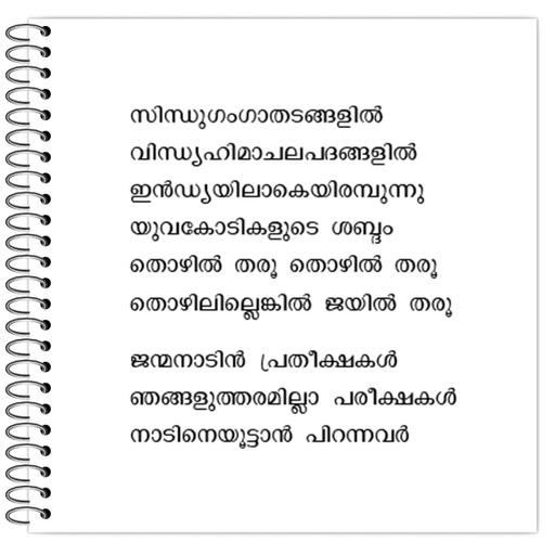 Picture of the product