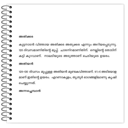 Picture of the product