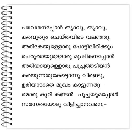 Picture of the product