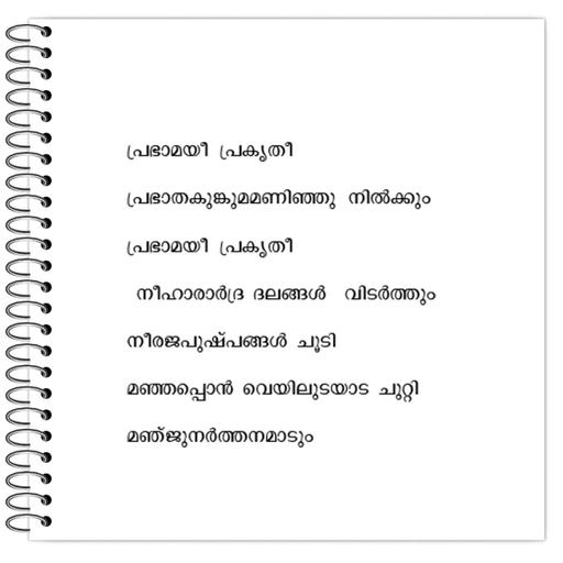 Picture of the product