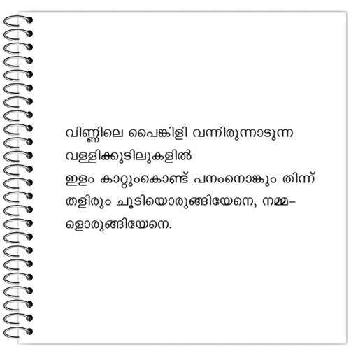 Picture of the product